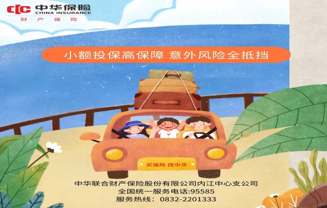 专业的保险团队